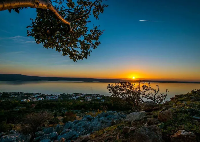 In Starigrad-paklenica 41713